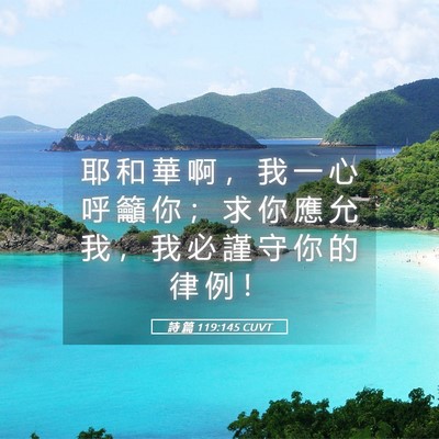 Picture 05 - 詩 篇 119:145 CUVT - 耶 和 華 啊 ， 我 一 心 呼 籲 你 ； - Bible Verse Picture