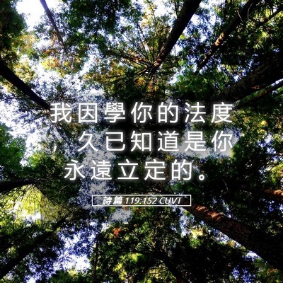 Picture 05 - 詩 篇 119:152 CUVT - 我 因 學 你 的 法 度 ， 久 已 知 道 - Bible Verse Picture