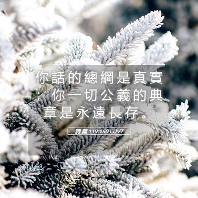 Picture 05 - 詩 篇 119:160 CUVT - 你 話 的 總 綱 是 真 實 ； 你 一 切 - Bible Verse Picture