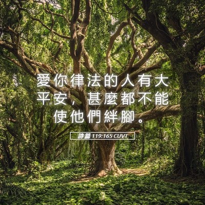 Picture 05 - 詩 篇 119:165 CUVT - 愛 你 律 法 的 人 有 大 平 安 ， 甚 - Bible Verse Picture