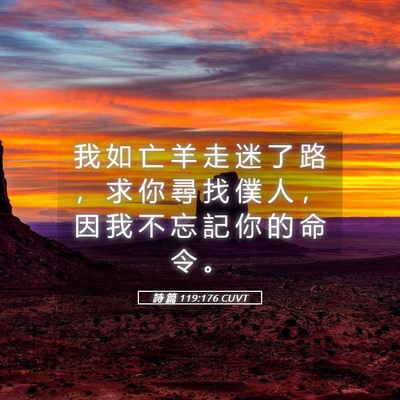 Picture 05 - 詩 篇 119:176 CUVT - 我 如 亡 羊 走 迷 了 路 ， 求 你 尋 - Bible Verse Picture