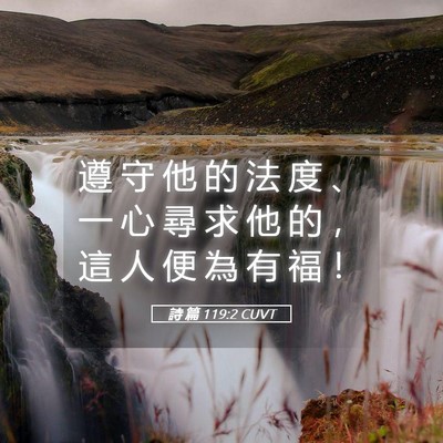 Picture 05 - 詩 篇 119:2 CUVT - 遵 守 他 的 法 度 、 一 心 尋 求 他 - Bible Verse Picture