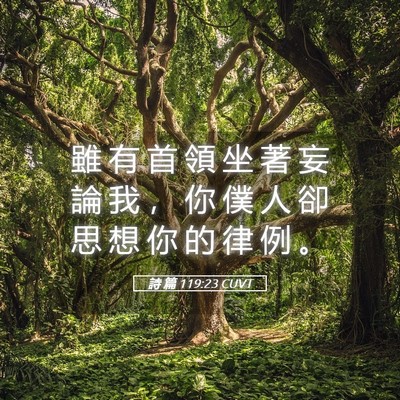 Picture 05 - 詩 篇 119:23 CUVT - 雖 有 首 領 坐 著 妄 論 我 ， 你 僕 - Bible Verse Picture