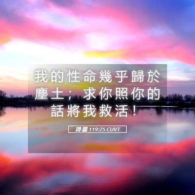 Picture 05 - 詩 篇 119:25 CUVT - 我 的 性 命 幾 乎 歸 於 塵 土 ； 求 - Bible Verse Picture
