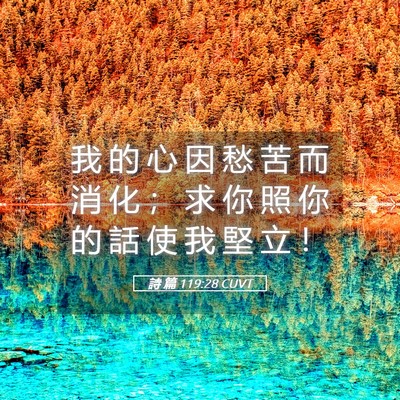 Picture 05 - 詩 篇 119:28 CUVT - 我 的 心 因 愁 苦 而 消 化 ； 求 你 - Bible Verse Picture