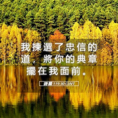 Picture 05 - 詩 篇 119:30 CUVT - 我 揀 選 了 忠 信 的 道 ， 將 你 的 - Bible Verse Picture