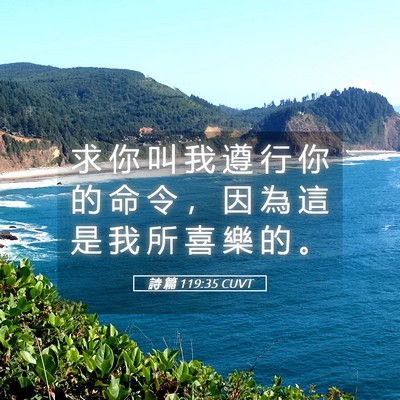 Picture 05 - 詩 篇 119:35 CUVT - 求 你 叫 我 遵 行 你 的 命 令 ， 因 - Bible Verse Picture