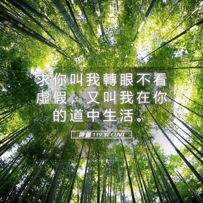 Picture 05 - 詩 篇 119:37 CUVT - 求 你 叫 我 轉 眼 不 看 虛 假 ， 又 - Bible Verse Picture