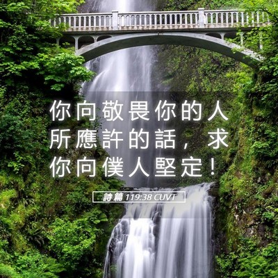 Picture 05 - 詩 篇 119:38 CUVT - 你 向 敬 畏 你 的 人 所 應 許 的 話 - Bible Verse Picture