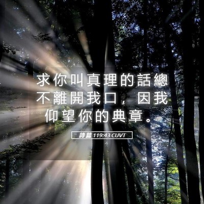 Picture 05 - 詩 篇 119:43 CUVT - 求 你 叫 真 理 的 話 總 不 離 開 我 - Bible Verse Picture