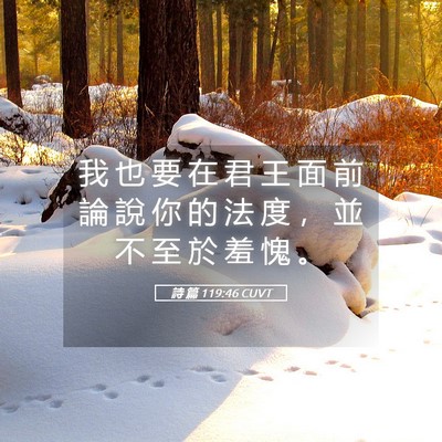 Picture 05 - 詩 篇 119:46 CUVT - 我 也 要 在 君 王 面 前 論 說 你 的 - Bible Verse Picture