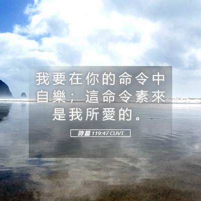 Picture 05 - 詩 篇 119:47 CUVT - 我 要 在 你 的 命 令 中 自 樂 ； 這 - Bible Verse Picture