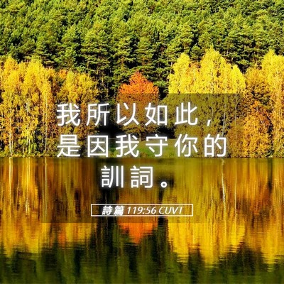 Picture 05 - 詩 篇 119:56 CUVT - 我 所 以 如 此 ， 是 因 我 守 你 的 - Bible Verse Picture
