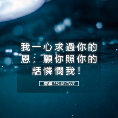 Picture 05 - 詩 篇 119:58 CUVT - 我 一 心 求 過 你 的 恩 ； 願 你 照 - Bible Verse Picture