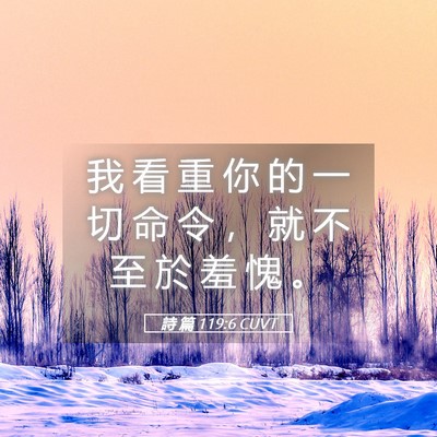 Picture 05 - 詩 篇 119:6 CUVT - 我 看 重 你 的 一 切 命 令 ， 就 不 - Bible Verse Picture