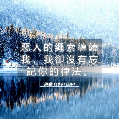 Picture 05 - 詩 篇 119:61 CUVT - 惡 人 的 繩 索 纏 繞 我 ， 我 卻 沒 - Bible Verse Picture