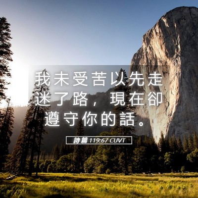 Picture 05 - 詩 篇 119:67 CUVT - 我 未 受 苦 以 先 走 迷 了 路 ， 現 - Bible Verse Picture