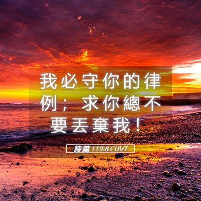 Picture 05 - 詩 篇 119:8 CUVT - 我 必 守 你 的 律 例 ； 求 你 總 不 - Bible Verse Picture