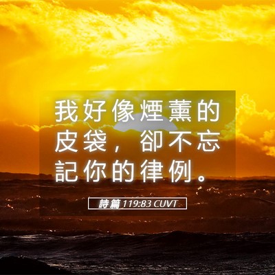 Picture 05 - 詩 篇 119:83 CUVT - 我 好 像 煙 薰 的 皮 袋 ， 卻 不 忘 - Bible Verse Picture