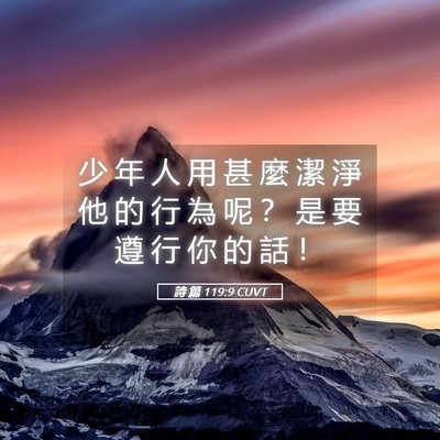 Picture 05 - 詩 篇 119:9 CUVT - 少 年 人 用 甚 麼 潔 淨 他 的 行 為 - Bible Verse Picture