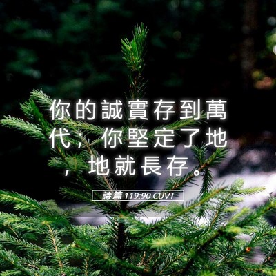 Picture 05 - 詩 篇 119:90 CUVT - 你 的 誠 實 存 到 萬 代 ； 你 堅 定 - Bible Verse Picture