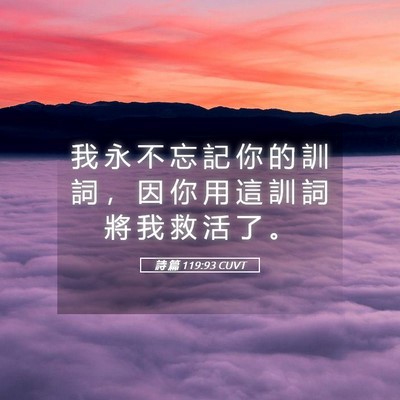 Picture 05 - 詩 篇 119:93 CUVT - 我 永 不 忘 記 你 的 訓 詞 ， 因 你 - Bible Verse Picture