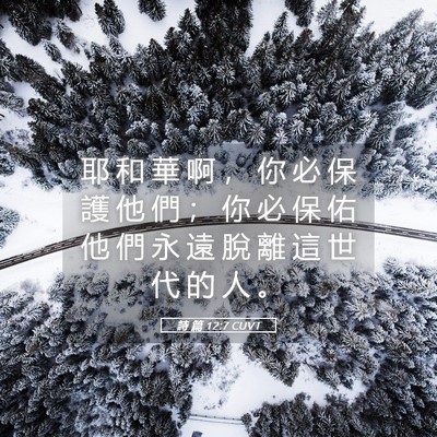 Picture 05 - 詩 篇 12:7 CUVT - 耶 和 華 啊 ， 你 必 保 護 他 們 ； - Bible Verse Picture