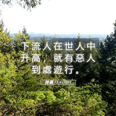 Picture 05 - 詩 篇 12:8 CUVT - 下 流 人 在 世 人 中 升 高 ， 就 有 - Bible Verse Picture