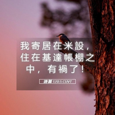 Picture 05 - 詩 篇 120:5 CUVT - 我 寄 居 在 米 設 ， 住 在 基 達 帳 - Bible Verse Picture