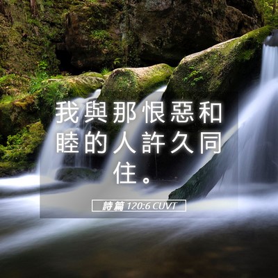 Picture 05 - 詩 篇 120:6 CUVT - 我 與 那 恨 惡 和 睦 的 人 許 久 同 - Bible Verse Picture
