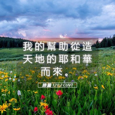 Picture 05 - 詩 篇 121:2 CUVT - 我 的 幫 助 從 造 天 地 的 耶 和 華 - Bible Verse Picture