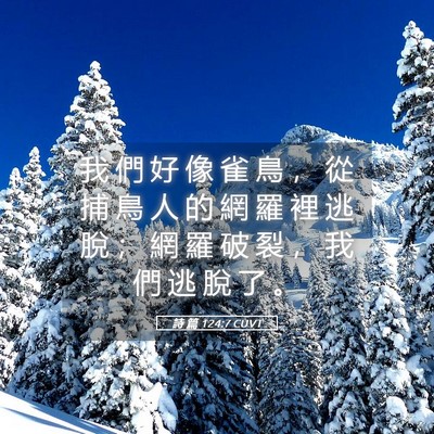 Picture 05 - 詩 篇 124:7 CUVT - 我 們 好 像 雀 鳥 ， 從 捕 鳥 人 的 - Bible Verse Picture