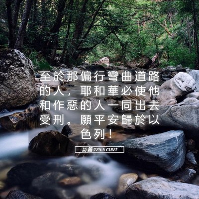 Picture 05 - 詩 篇 125:5 CUVT - 至 於 那 偏 行 彎 曲 道 路 的 人 ， - Bible Verse Picture