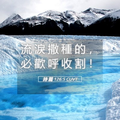 Picture 05 - 詩 篇 126:5 CUVT - 流 淚 撒 種 的 ， 必 歡 呼 收 割 - Bible Verse Picture