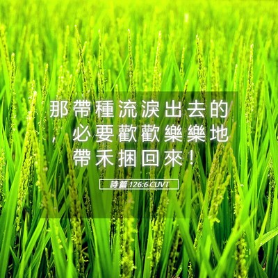 Picture 05 - 詩 篇 126:6 CUVT - 那 帶 種 流 淚 出 去 的 ， 必 要 歡 - Bible Verse Picture