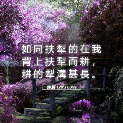 Picture 05 - 詩 篇 129:3 CUVT - 如 同 扶 犁 的 在 我 背 上 扶 犁 而 - Bible Verse Picture