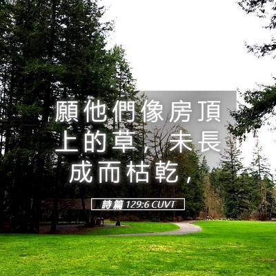 Picture 05 - 詩 篇 129:6 CUVT - 願 他 們 像 房 頂 上 的 草 ， 未 長 - Bible Verse Picture