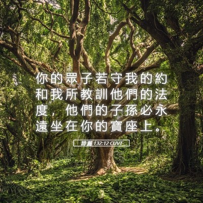 Picture 05 - 詩 篇 132:12 CUVT - 你 的 眾 子 若 守 我 的 約 和 我 所 - Bible Verse Picture