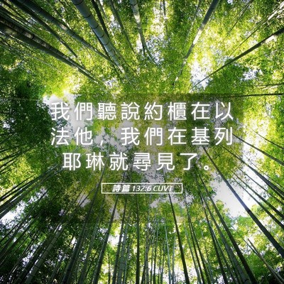 Picture 05 - 詩 篇 132:6 CUVT - 我 們 聽 說 約 櫃 在 以 法 他 ， 我 - Bible Verse Picture