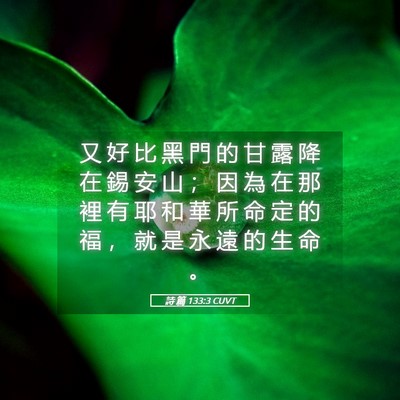 Picture 05 - 詩 篇 133:3 CUVT - 又 好 比 黑 門 的 甘 露 降 在 錫 安 - Bible Verse Picture