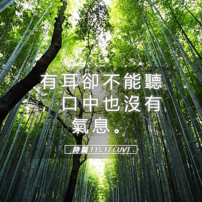 Picture 05 - 詩 篇 135:17 CUVT - 有 耳 卻 不 能 聽 ， 口 中 也 沒 有 - Bible Verse Picture