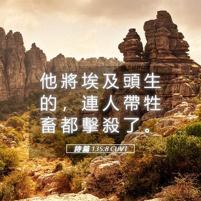 Picture 05 - 詩 篇 135:8 CUVT - 他 將 埃 及 頭 生 的 ， 連 人 帶 牲 - Bible Verse Picture