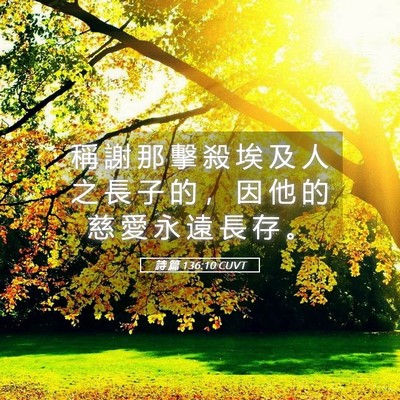Picture 05 - 詩 篇 136:10 CUVT - 稱 謝 那 擊 殺 埃 及 人 之 長 子 的 - Bible Verse Picture