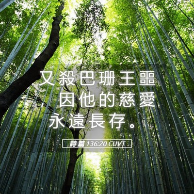 Picture 05 - 詩 篇 136:20 CUVT - 又 殺 巴 珊 王 噩 ， 因 他 的 慈 愛 - Bible Verse Picture