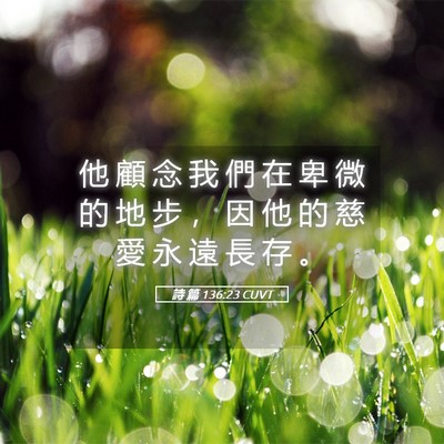 Picture 05 - 詩 篇 136:23 CUVT - 他 顧 念 我 們 在 卑 微 的 地 步 ， - Bible Verse Picture