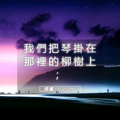 Picture 05 - 詩 篇 137:2 CUVT - 我 們 把 琴 掛 在 那 裡 的 柳 樹 上 - Bible Verse Picture