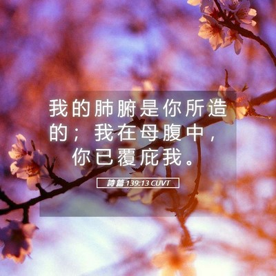 Picture 05 - 詩 篇 139:13 CUVT - 我 的 肺 腑 是 你 所 造 的 ； 我 在 - Bible Verse Picture