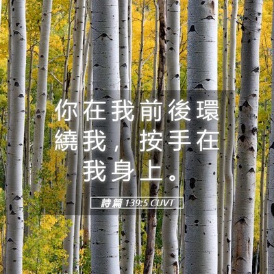 Picture 05 - 詩 篇 139:5 CUVT - 你 在 我 前 後 環 繞 我 ， 按 手 在 - Bible Verse Picture