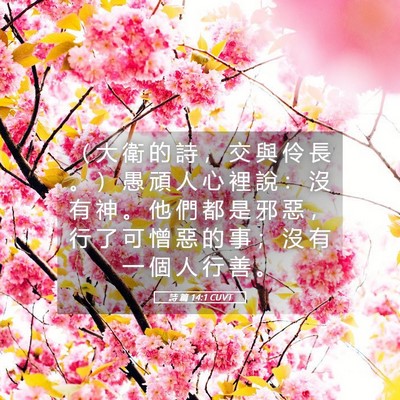Picture 05 - 詩 篇 14:1 CUVT - （ 大 衛 的 詩 ， 交 與 伶 長 。 ） - Bible Verse Picture