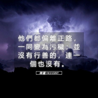 Picture 05 - 詩 篇 14:3 CUVT - 他 們 都 偏 離 正 路 ， 一 同 變 為 - Bible Verse Picture